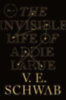 Schwab, V. E.: The Invisible Life of Addie LaRue idegen