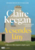Keegan, Claire: A csendes lány könyv