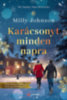 Milly Johnson: Karácsonyt minden napra könyv