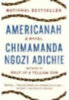 Adichie, Chimamanda Ngozi: Americanah idegen
