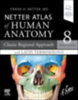 Netter, Frank H.: Netter Atlas of Human Anatomy: Classic Regional Approach with Latin Terminology idegen