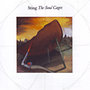 Sting: The Soul Cages - CD CD