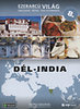 Ezerarcú világ 08. - Dél-India DVD