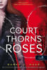 Sarah J. Maas: A Court of Thorns and Roses - Tüskék és rózsák udvara könyv