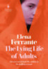 Elena Ferrante: The Lying Life of Adults idegen