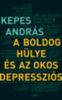 Kepes András: A boldog hülye és az okos depressziós könyv
