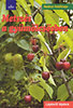 Heidrun Holzförster: Metszés a gyümölcsösben könyv