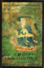 Thondup Tulku Rinpocse: A tudat gyógyító ereje könyv