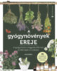 A gyógynövények ereje könyv