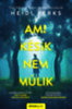 Heidi Perks: Ami késik, nem múlik könyv