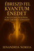Senandrya Noreia: Ébreszd fel kvantum énedet e-Könyv