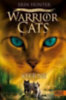 Hunter, Erin: Warrior Cats - Ein sternenloser Clan. Sterne idegen