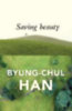 Han, Byung-Chul: Saving Beauty idegen