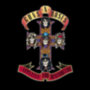 Guns N' Roses: Appetite For Destruction - 2 CD CD