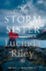 Riley, Lucinda: The Storm Sister idegen