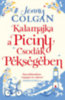 Jenny Colgan: Kalamajka a Piciny Csodák Pékségében e-Könyv