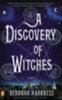Harkness, Deborah: A Discovery of Witches idegen