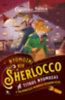 Geronimo Stilton: A titkos nyomozás könyv