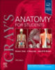 Gray's Anatomy for Students idegen