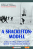 Margot Morrell - Stephanie Capparell: A shackleton-modell - Déli-sarki expedíció mint vezetéselmélet e-Könyv