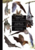 Frick, Winifred - O'Mara, M. Teague: Bats of the World idegen