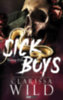 Clarissa Wild: Sick Boys - Beteg Fiúk e-Könyv