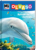 Christina Braun: Bálnák és delfinek könyv