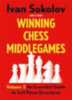 Sokolov, Ivan: Winning Chess Middlegames Volume 2 idegen