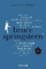 Kleiner, Marcus S.: Bruce Springsteen. 100 Seiten idegen