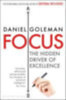 Goleman, Daniel: Focus idegen