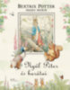 Beatrix Potter: Nyúl Péter és barátai könyv