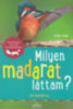 Holger Haag: Milyen madarat láttam? könyv