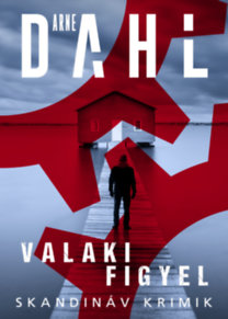 Arne Dahl: Valaki figyel