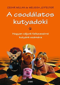 Hobbi, kert és lakás