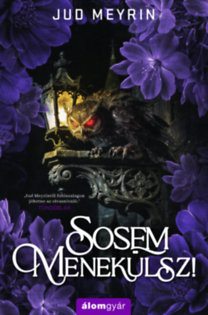 Jud Meyrin: Sosem menekülsz! könyv